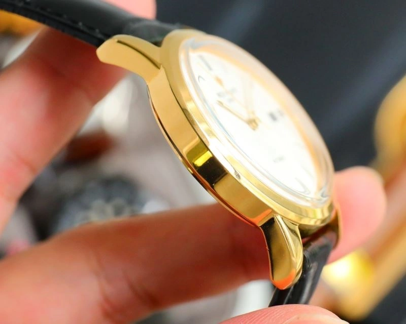 WeatherProof PATEK PHILIPPE Watches 197353