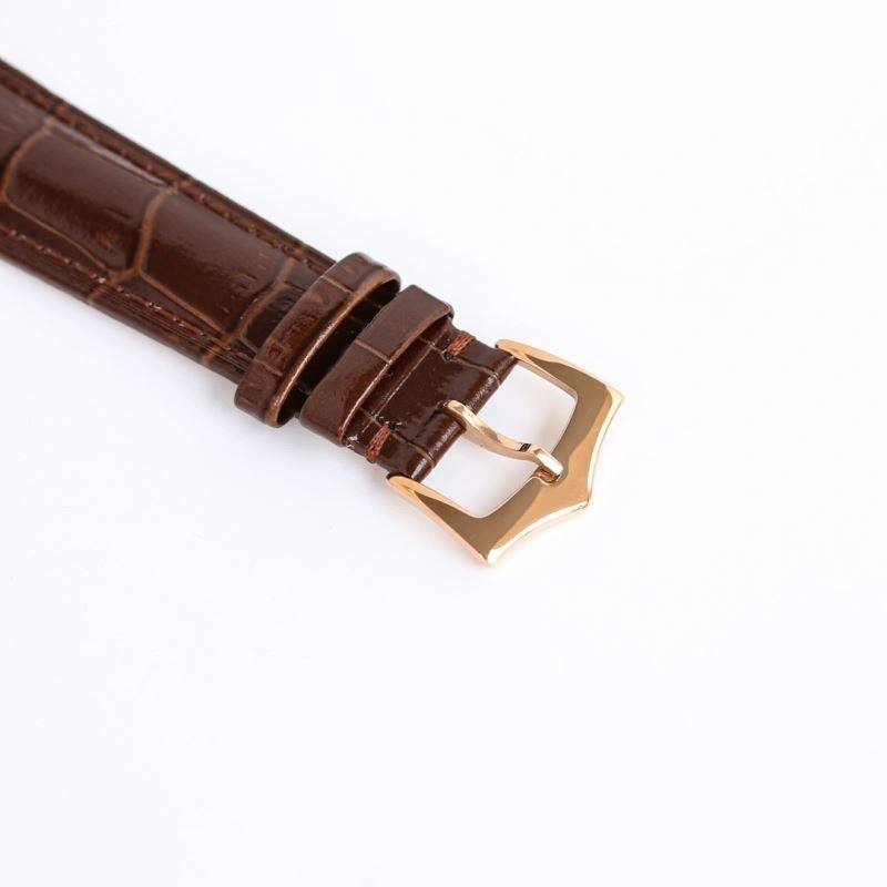 PATEK PHILIPPE Watches EasyCare 197312