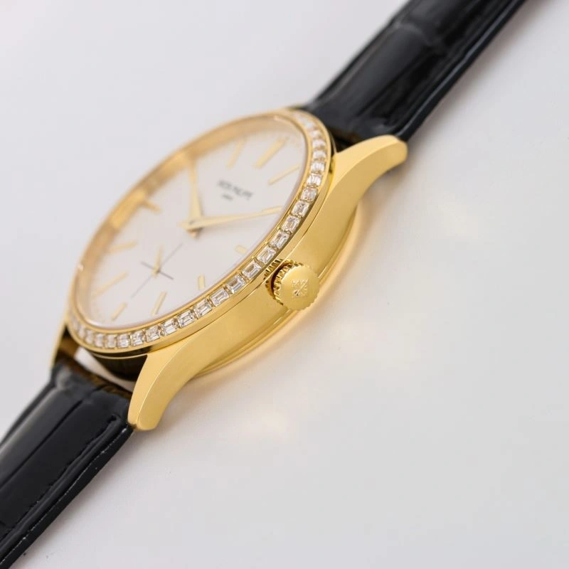 Packable PATEK PHILIPPE Watches 197311