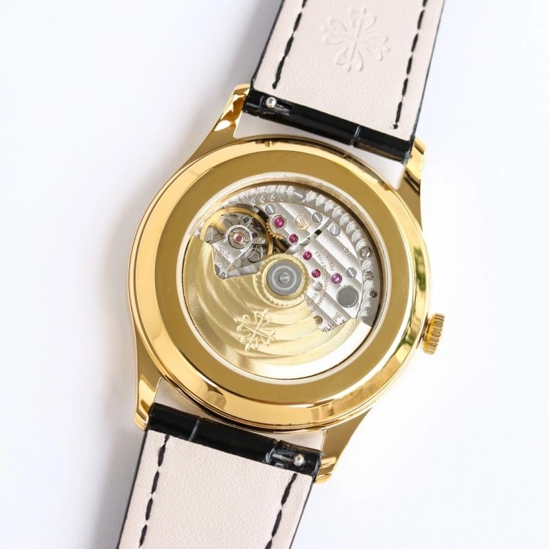 Packable PATEK PHILIPPE Watches 197311
