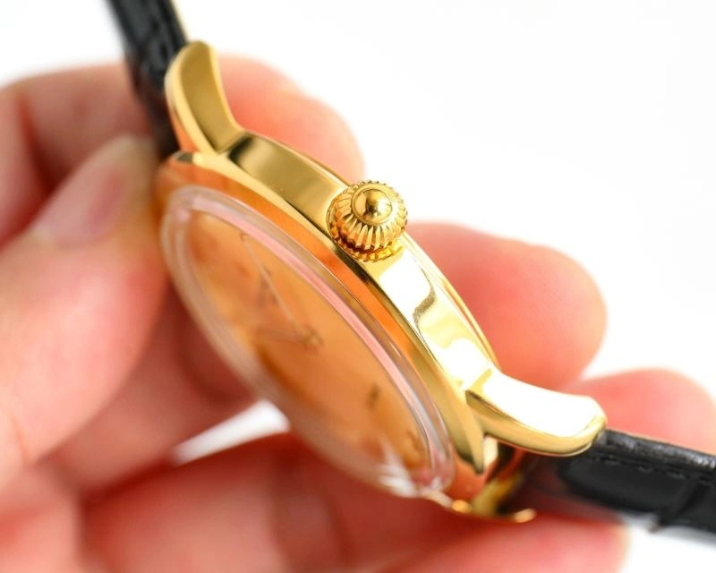 Timeless PATEK PHILIPPE Watches 197170