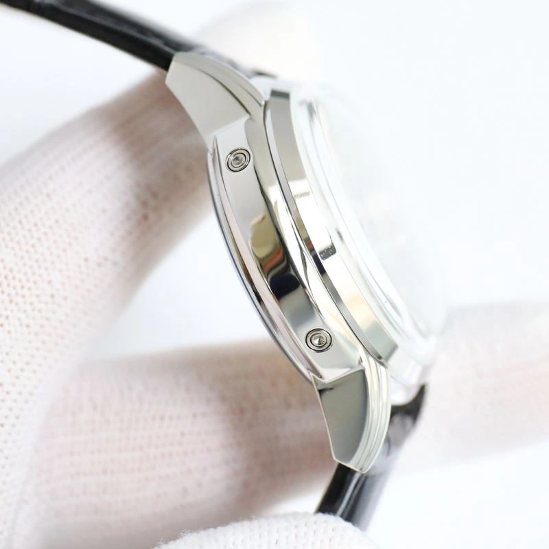 Sleek PATEK PHILIPPE Watches 197062