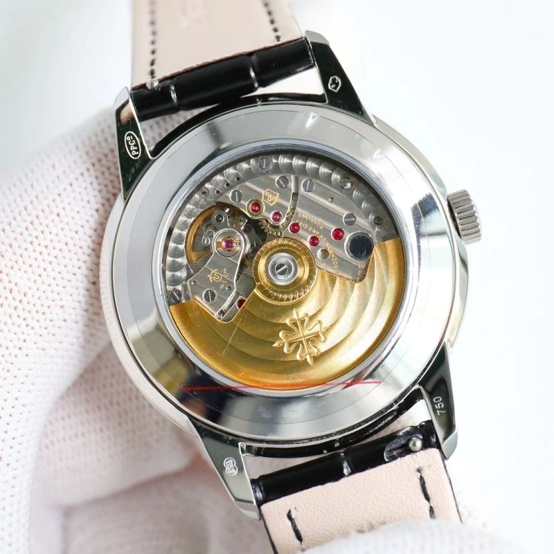 Sleek PATEK PHILIPPE Watches 197062