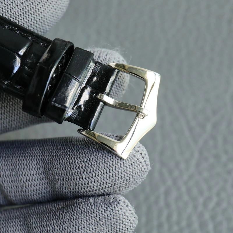 Unique PATEK PHILIPPE Watches 197039
