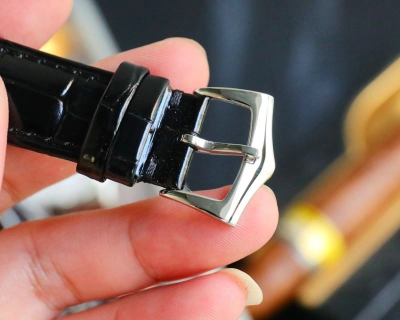 Vibrant PATEK PHILIPPE Watches 197016