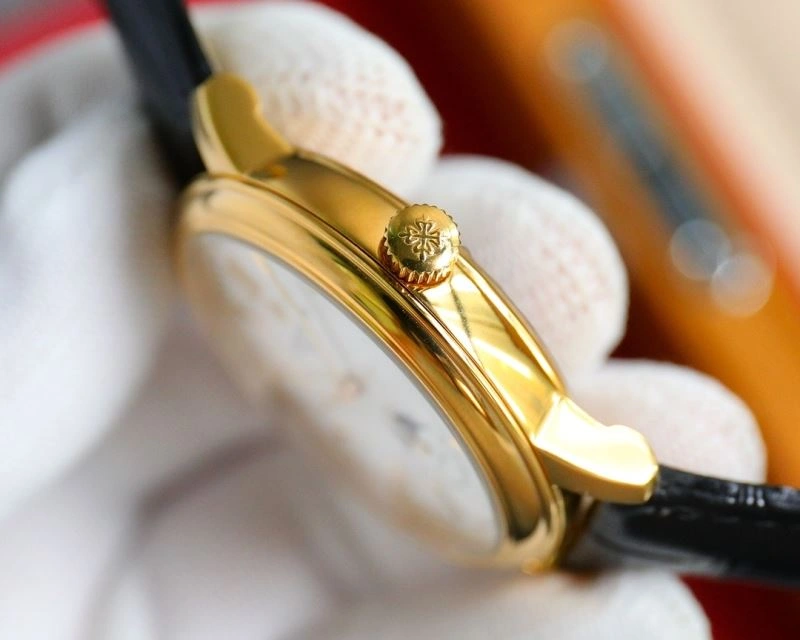 PATEK PHILIPPE Watches FlexibleFit 196989