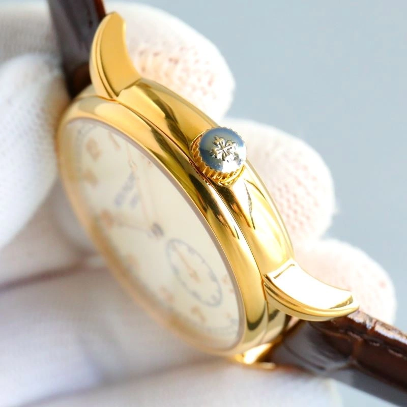 Versatile PATEK PHILIPPE Watches 196975