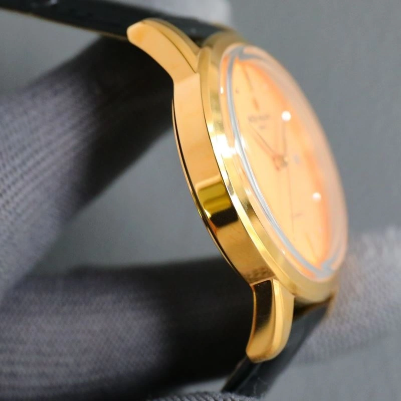 PATEK PHILIPPE Watches SmoothTexture 196860