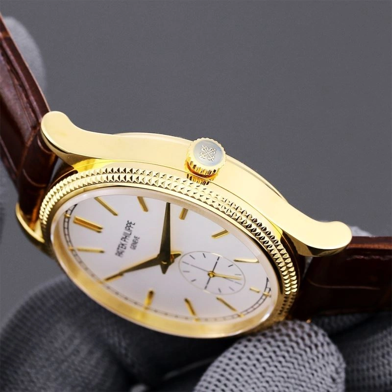 Supportive PATEK PHILIPPE Watches 196675
