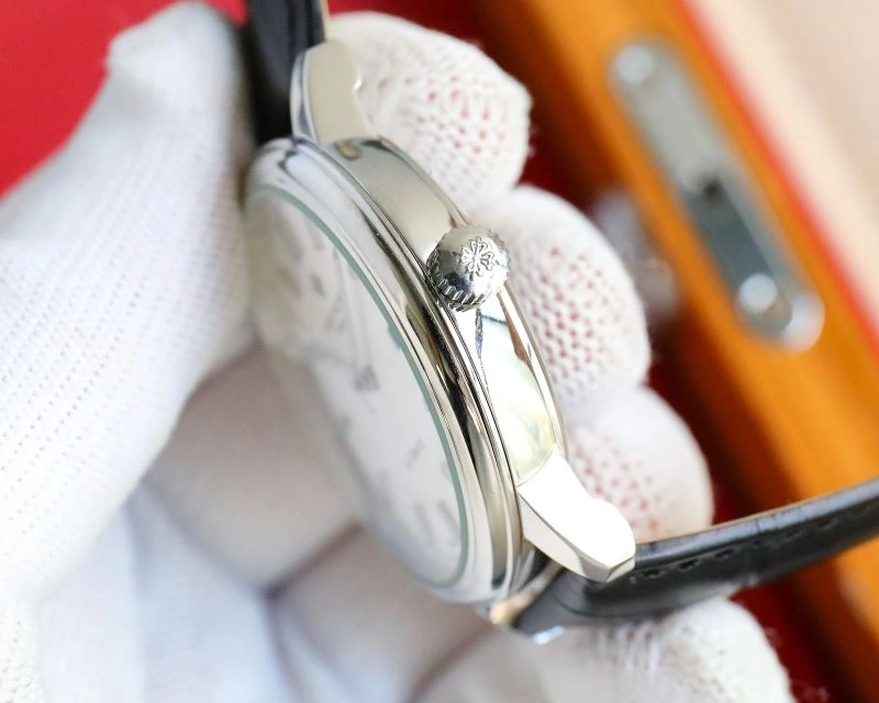 Fashionable PATEK PHILIPPE Watches 196494