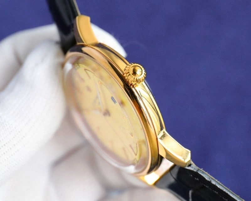Resilient PATEK PHILIPPE Watches 196457
