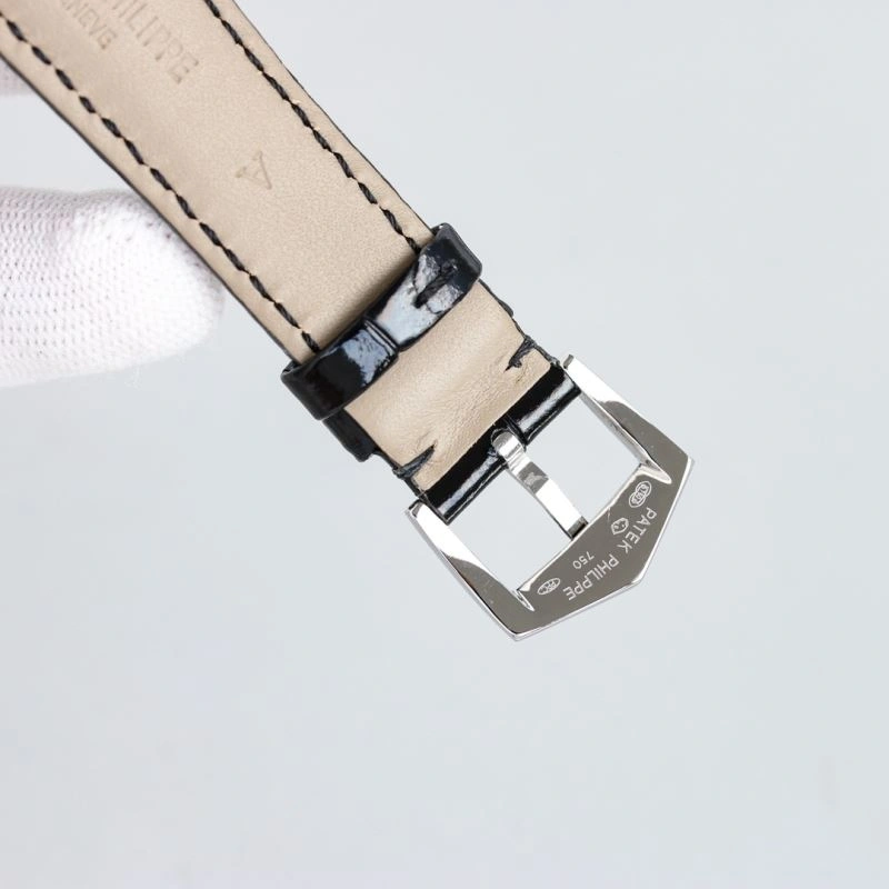 FastDry PATEK PHILIPPE Watches 196388