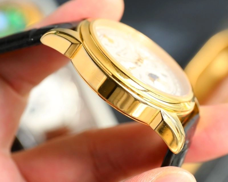 Efficient PATEK PHILIPPE Watches 196379
