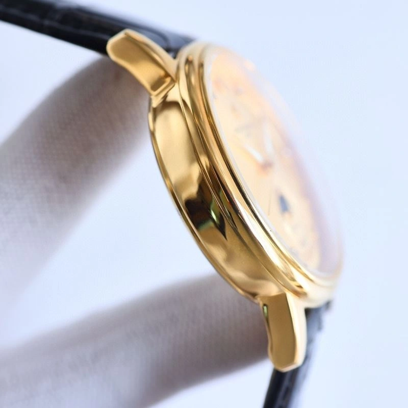 Versatile PATEK PHILIPPE Watches 196373