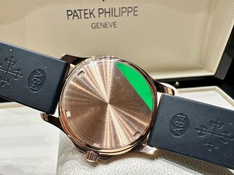 DailyWear PATEK PHILIPPE Watches 196317