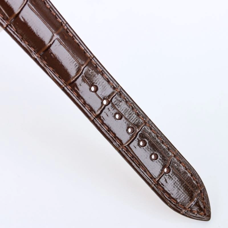 PATEK PHILIPPE Watches TopPick 196313