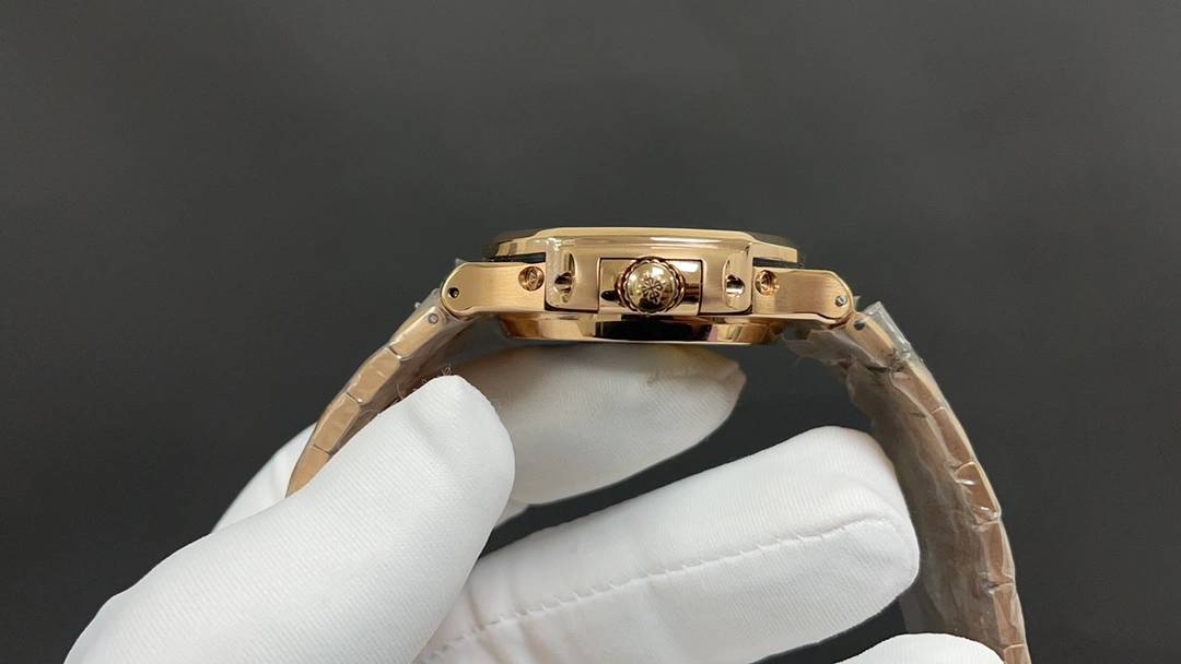 EasyCare PATEK PHILIPPE Watches 196276