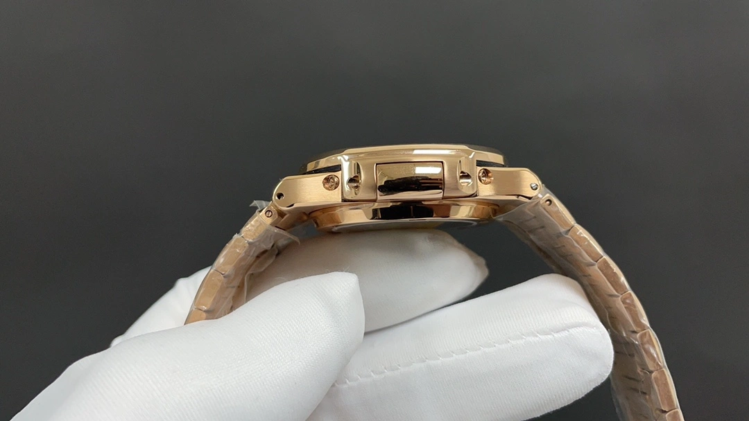 EasyCare PATEK PHILIPPE Watches 196276