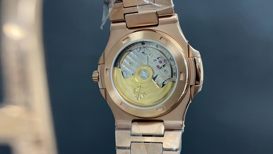 EasyCare PATEK PHILIPPE Watches 196276