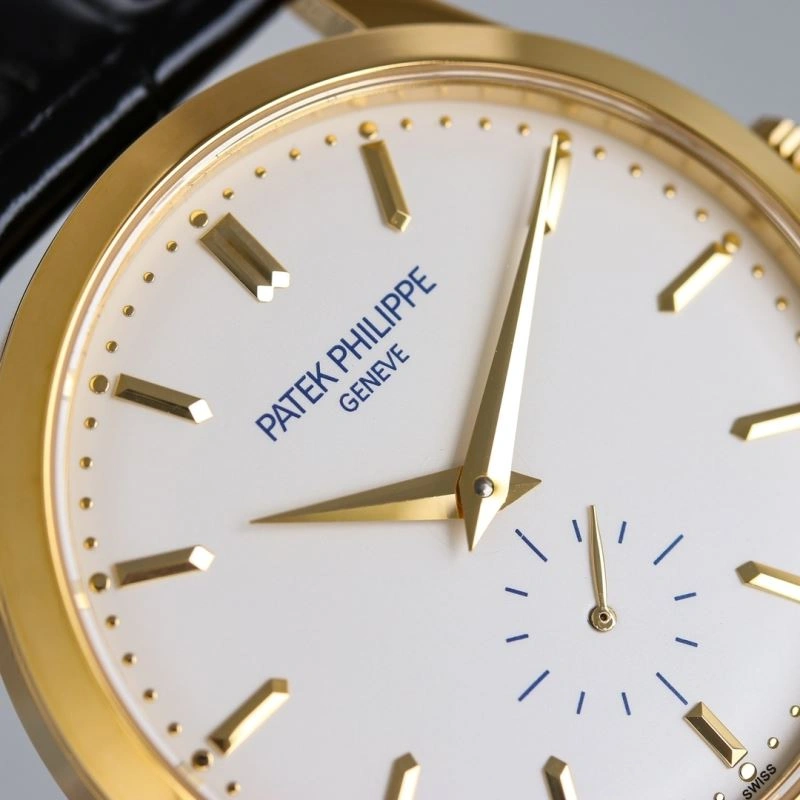 PATEK PHILIPPE Watches EasyCare 196148