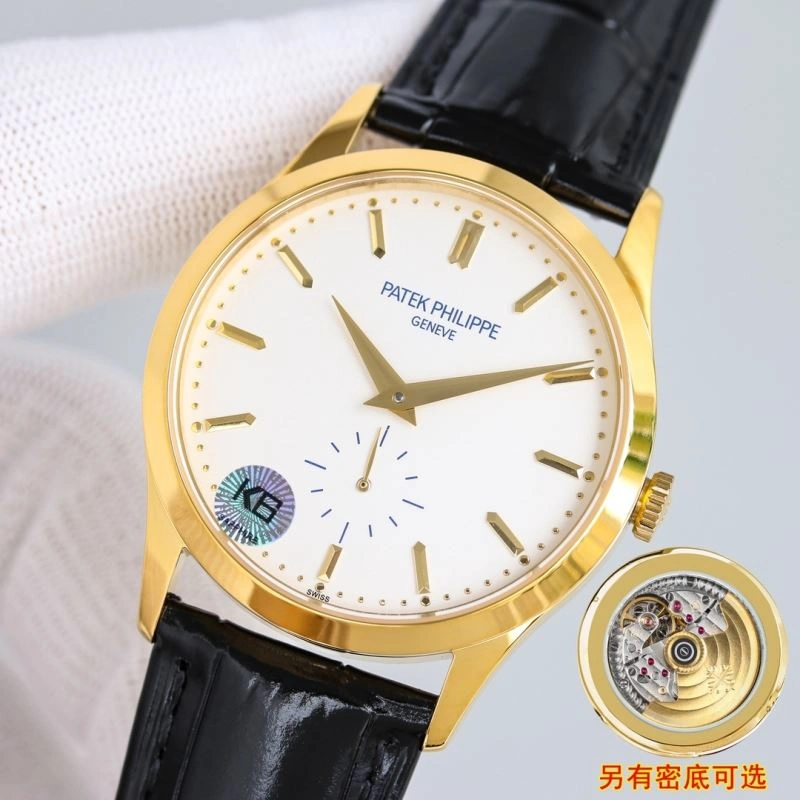 PATEK PHILIPPE Watches EasyCare 196148