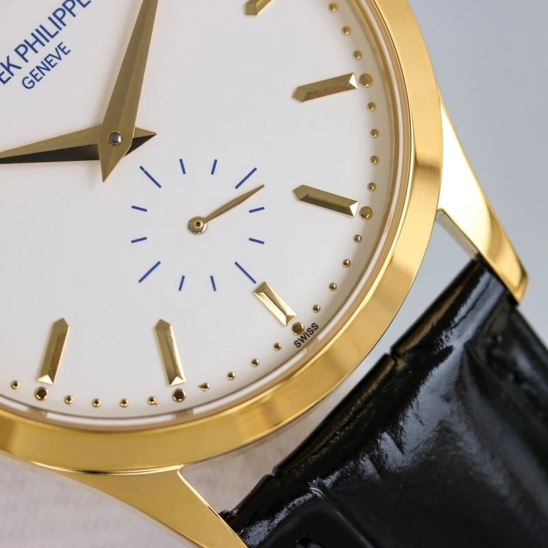 PATEK PHILIPPE Watches EasyCare 196148
