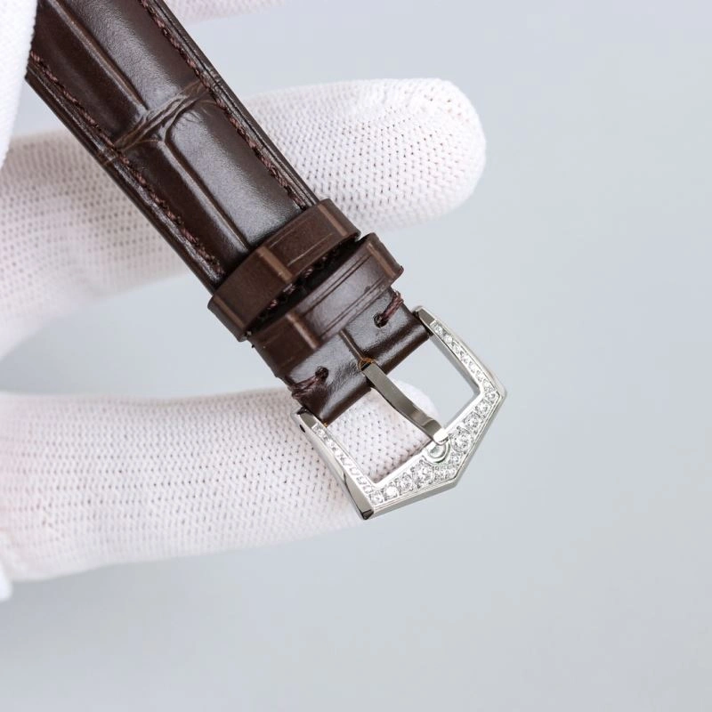 EasyCare PATEK PHILIPPE Watches 196110