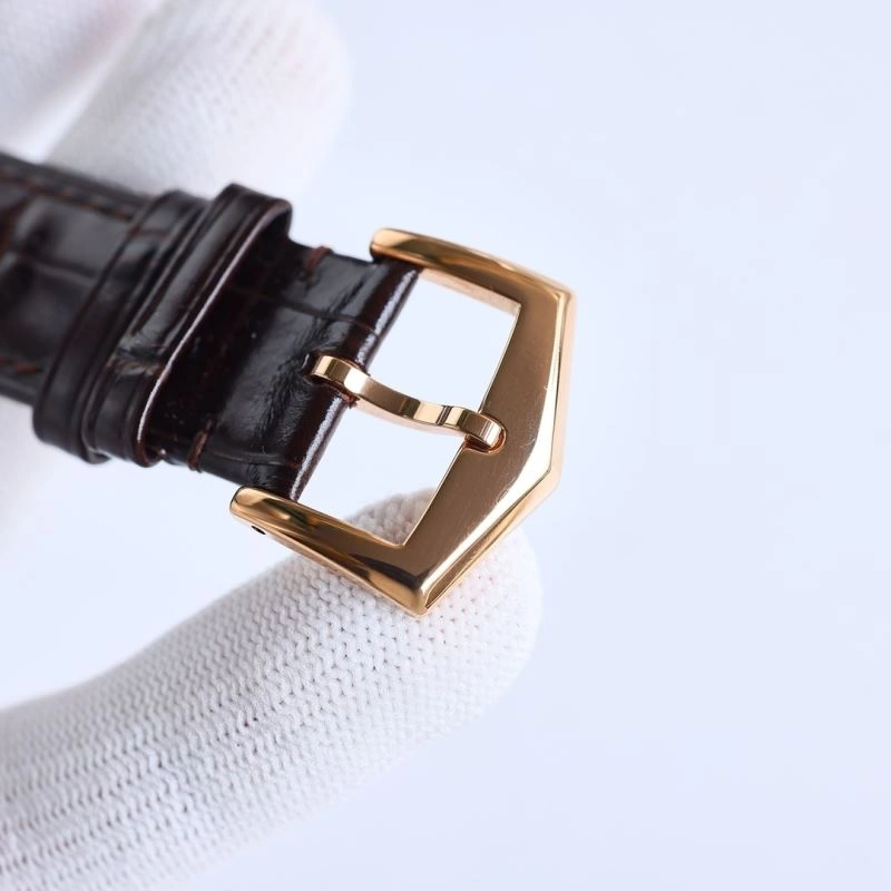 Packable PATEK PHILIPPE Watches 196028