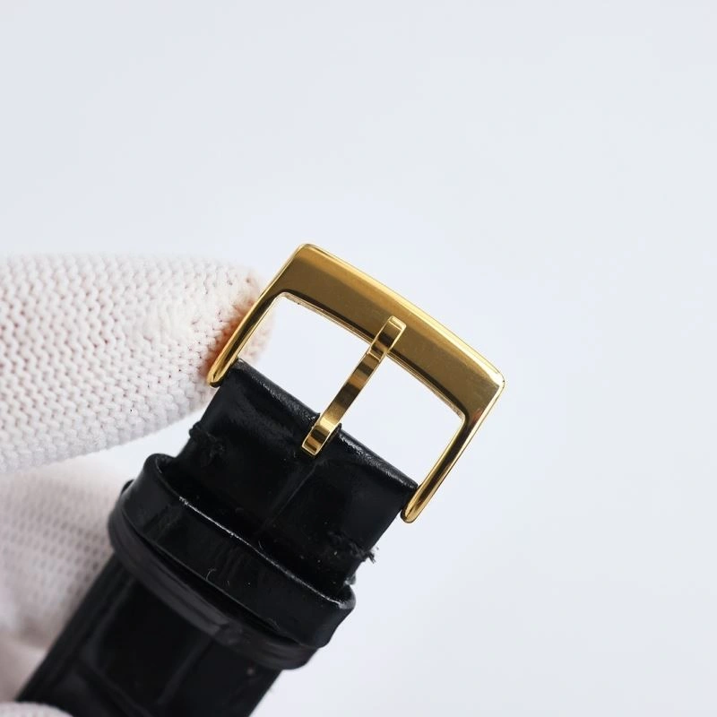 Cozy PATEK PHILIPPE Watches 196041