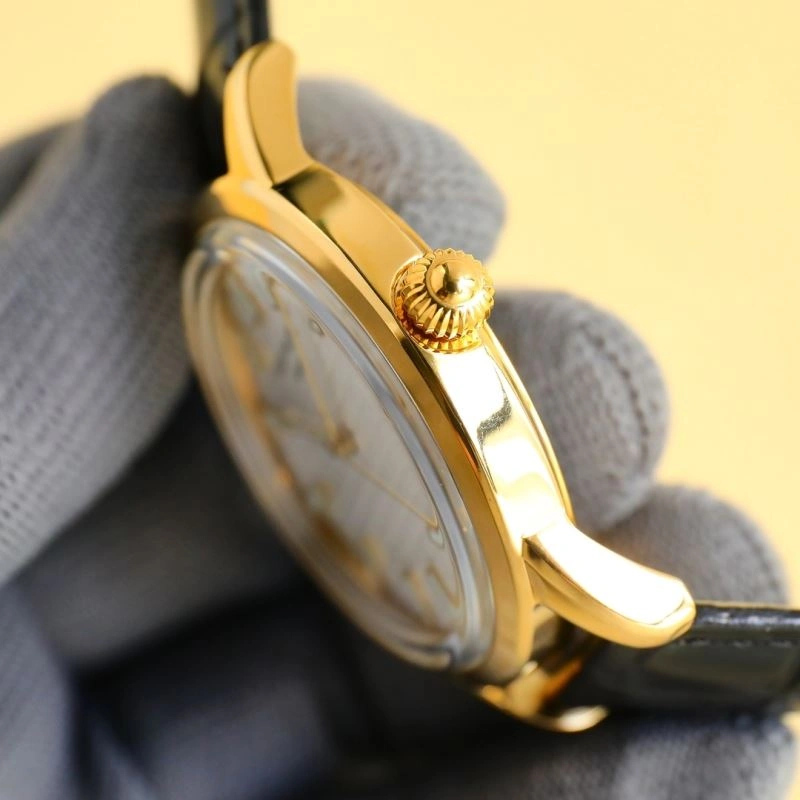 Packable PATEK PHILIPPE Watches 196013