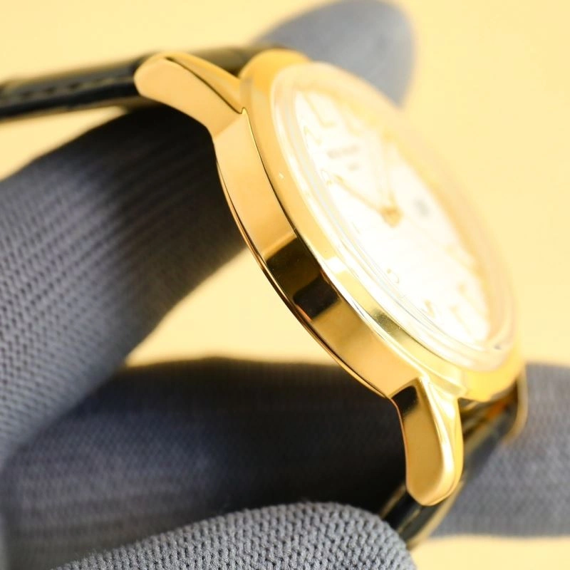 Packable PATEK PHILIPPE Watches 196013