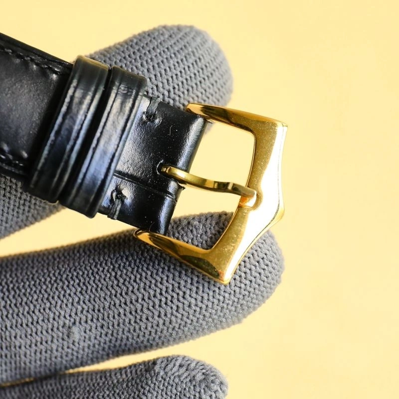 Packable PATEK PHILIPPE Watches 196013