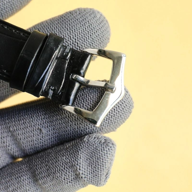 ModernLook PATEK PHILIPPE Watches 196011
