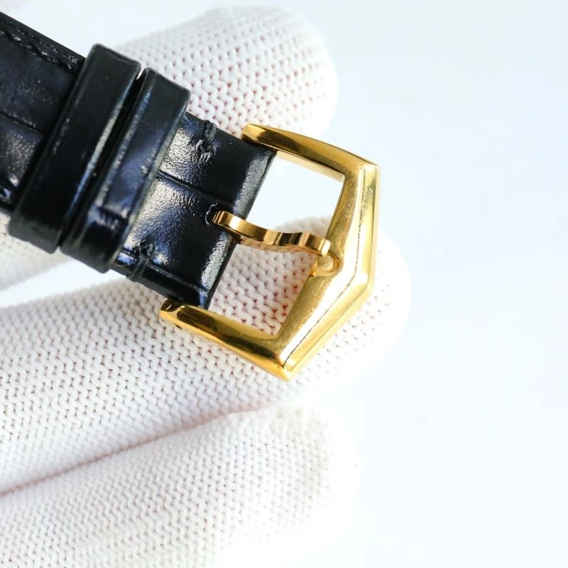 PATEK PHILIPPE Watches EasyCare 195932
