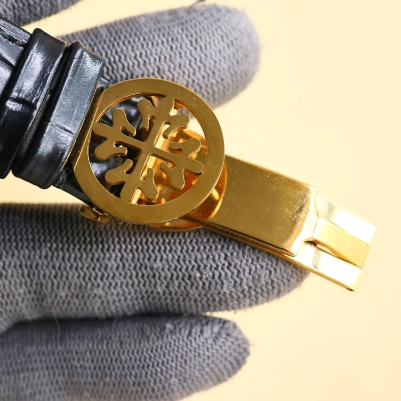 EasyMatch PATEK PHILIPPE Watches 195391