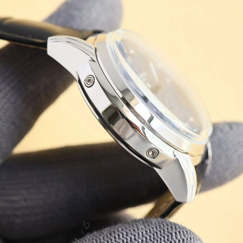 Attractive PATEK PHILIPPE Watches 195315
