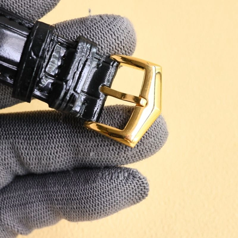 MoistureWicking PATEK PHILIPPE Watches 195321