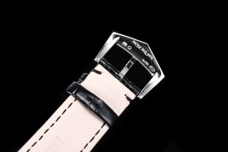 PATEK PHILIPPE Watches OdorResistant 195273
