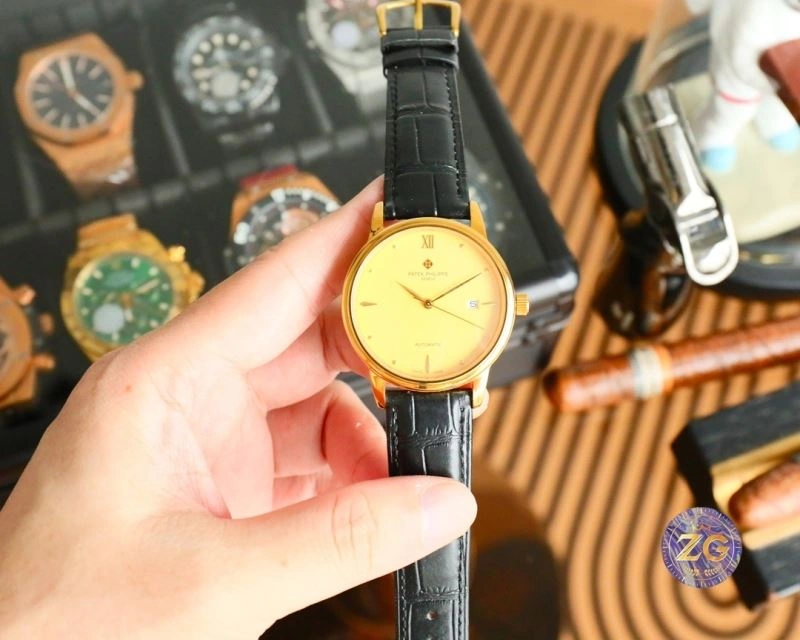 PATEK PHILIPPE Watches EasyCare 194953