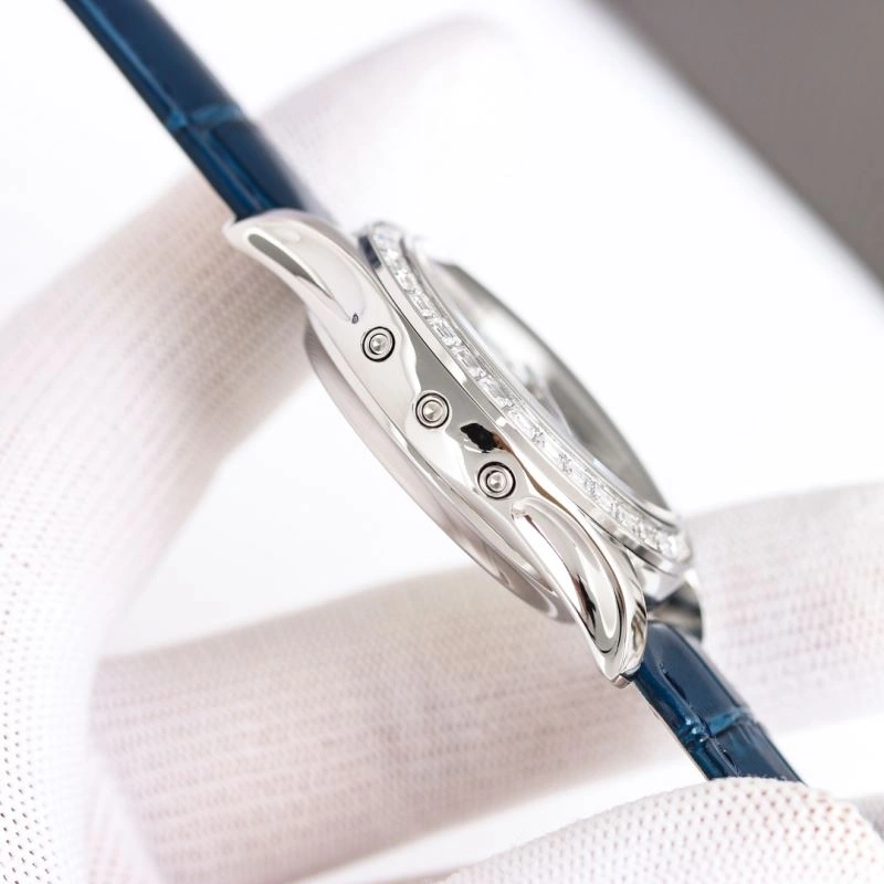 PATEK PHILIPPE Watches WeatherProof 194893
