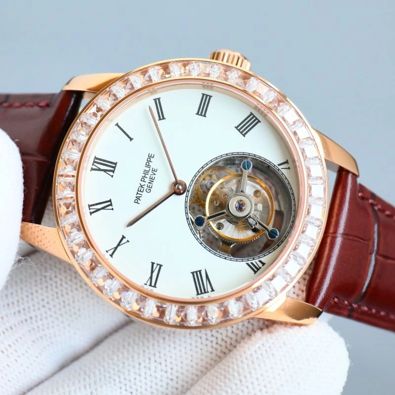 PATEK PHILIPPE Watches EasyCare 194744
