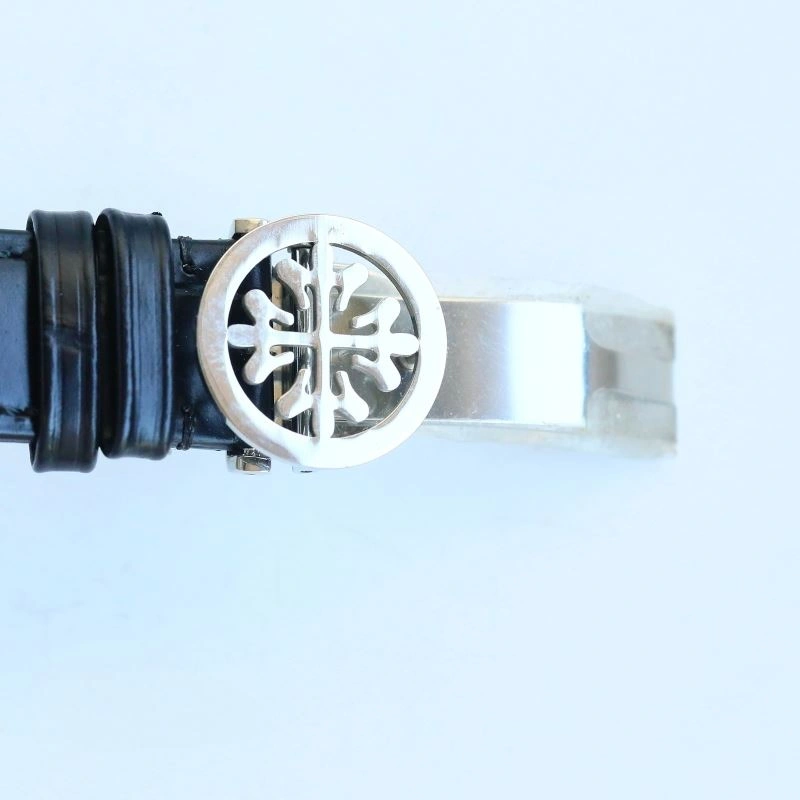 SunProtective PATEK PHILIPPE Watches 194430