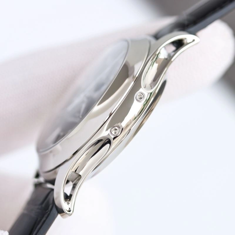 PATEK PHILIPPE Watches Functional 195725
