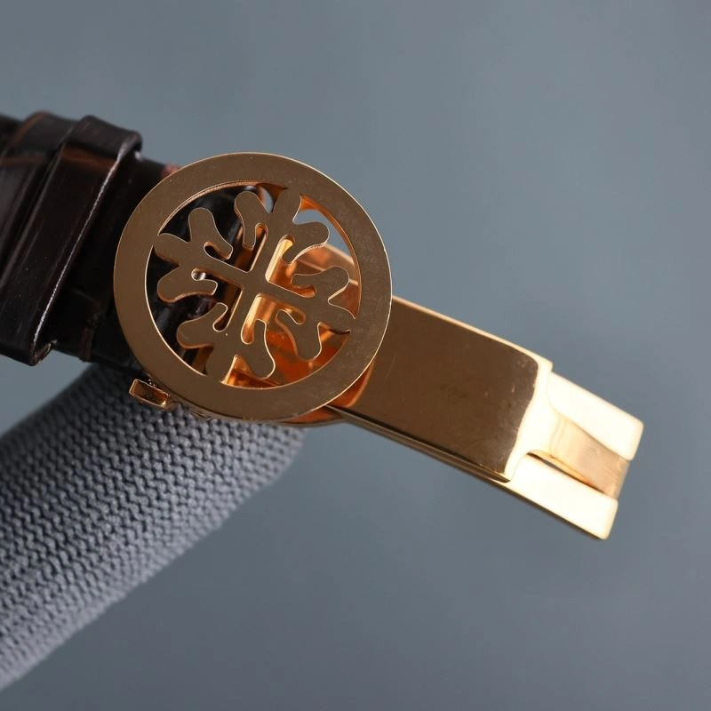 FastDry PATEK PHILIPPE Watches 195676