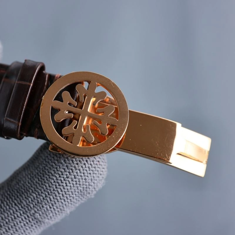 EasyMatch PATEK PHILIPPE Watches 195615