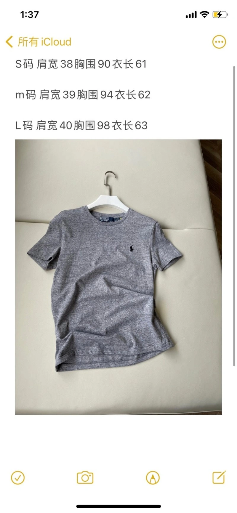Polo T-Shirts Colorful 155998
