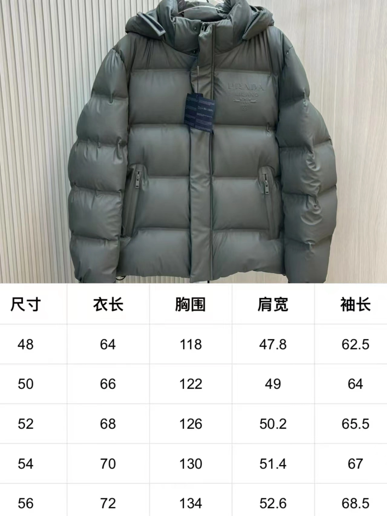 Prada Down Jackets GoAnywhere 172553