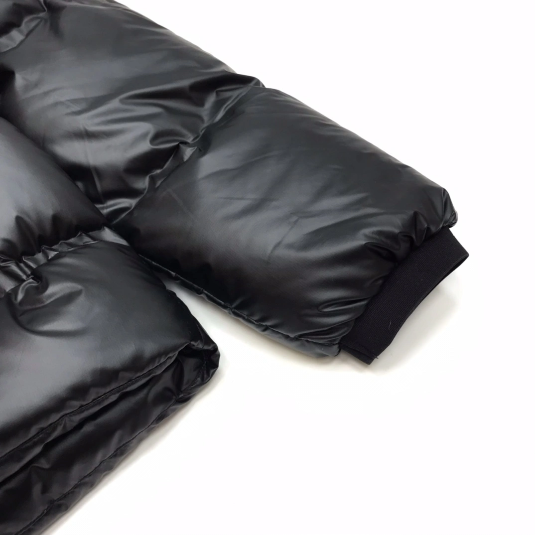 Prada Down Jackets Resilient 172380