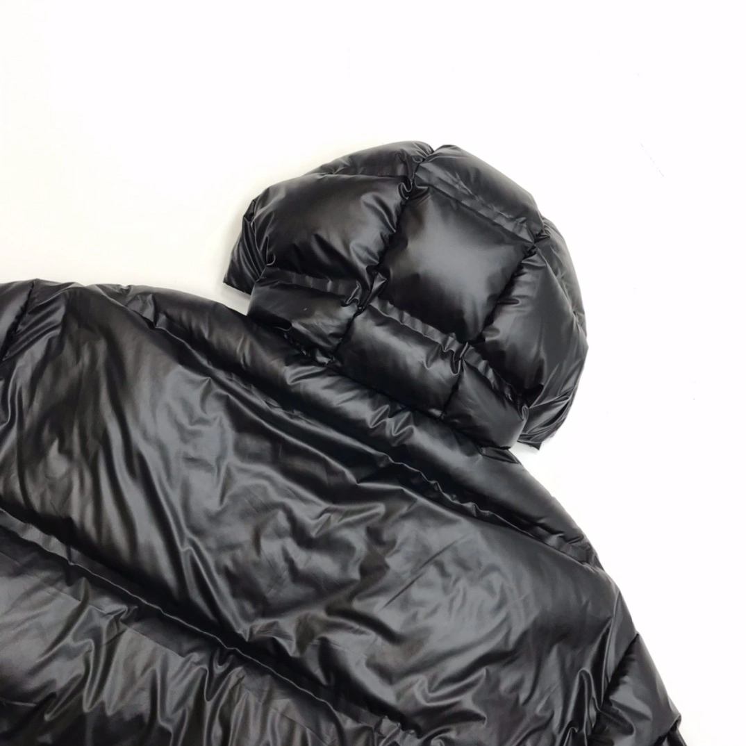 Prada Down Jackets Resilient 172380