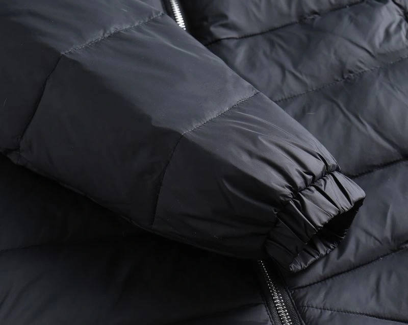 Prada Down Jackets Sophisticated 172103